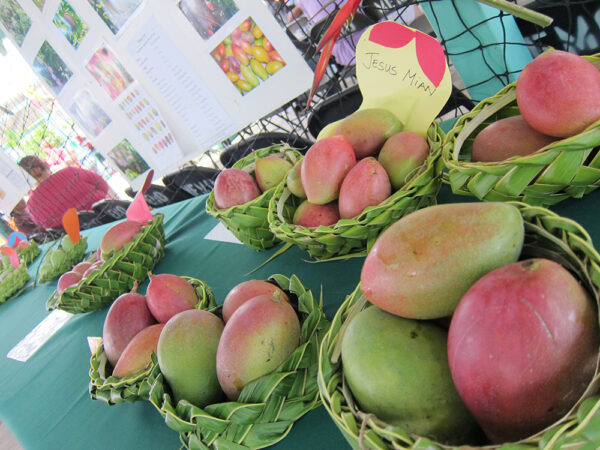 괌 여행 쇼핑 가이드 빌리지 오브 돈키 (돈키호테) Part. 3 괌의 식료품