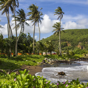 認識關島(歷史篇一)